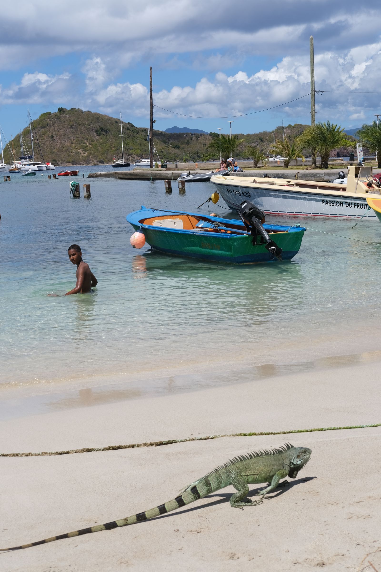 Photographie numérique Guadeloupe – Jeanne Parisot photographe et vidéaste Oléron